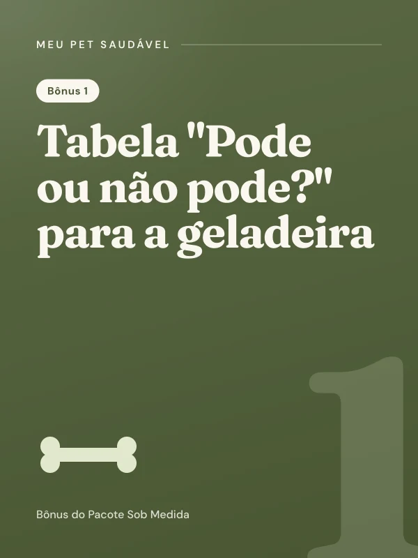 Capa do bônus Tabela "Pode ou não pode?" para a geladeira